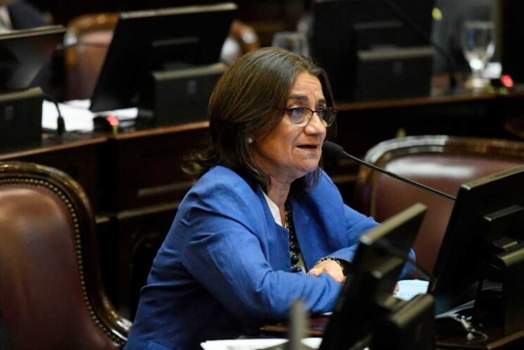 Corpacci advirtió que la reforma de la Ley de Tierras permite vender "un cuarto de una provincia" a extranjeros